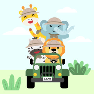 safari