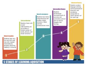 stages of language dev