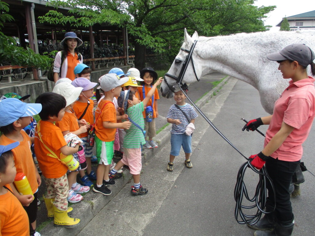 ディスカバリーインターナショナルスクール 園児 馬 校外学習 名古屋 ディスカバリーインターナショナルスクールの園児が名古屋の大学近くで馬とふれあう校外学習の様子。